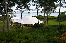 Tent Rental